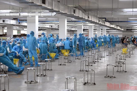 Lấy mẫu xét nghiệm cho công nhân KCN ở Bắc Giang.