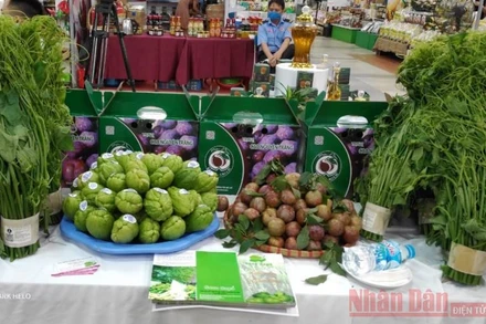 Mận tam hoa Bắc Hà và nhiều nông sản được bày bán tại Trung tâm Trung tâm Xúc tiến thương mại Nông nghiệp.