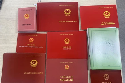 Số giấy tờ giả bị Cơ quan công an thu giữ.