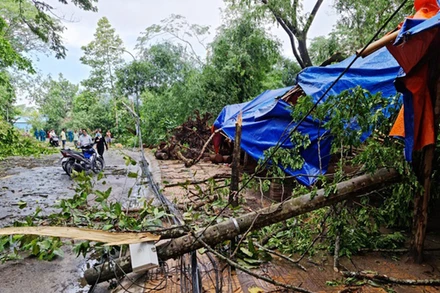 Cây xanh và trụ điện bị ngã do dông lốc cơn mưa lớn tại TP Sóc Trăng