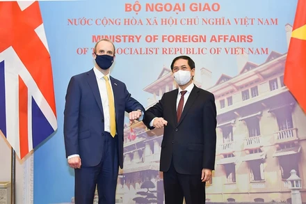 Bộ trưởng Ngoại giao Bùi Thanh Sơn và Bộ trưởng thứ nhất, Bộ trưởng Ngoại giao và Phát triển Anh Dominic Raab. (Ảnh: Báo Thế giới và Việt Nam)