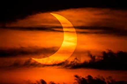 Ảnh: Getty Images.