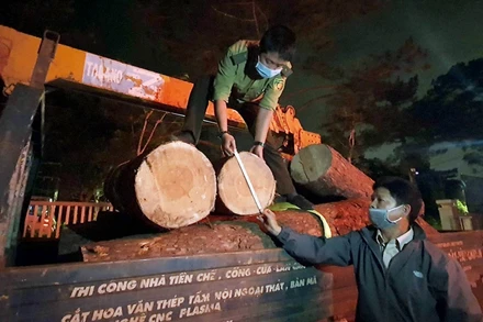 Tang vật vụ việc đang tạm giữ tại Hạt Kiểm lâm thành phố Đà Lạt.