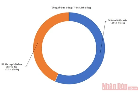 Đồ họa: Giang Khôi