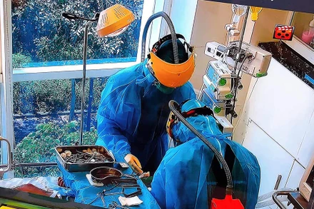 Chín bệnh nhân Covid-19 phải sử dụng phương pháp tim phổi nhân tạo