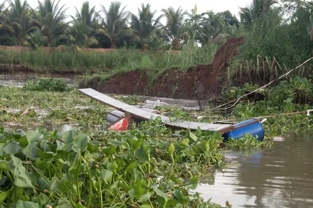 Sạt lở đất nhấn chìm bè cá gây thiệt hại bốn tấn cá giống.