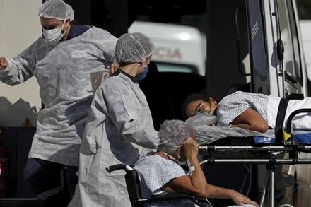 Nhân viên y tế chuyển bệnh nhân Covid-19 tới bệnh viện tại thủ đô Brasilia, Brazil. (Ảnh: AP)