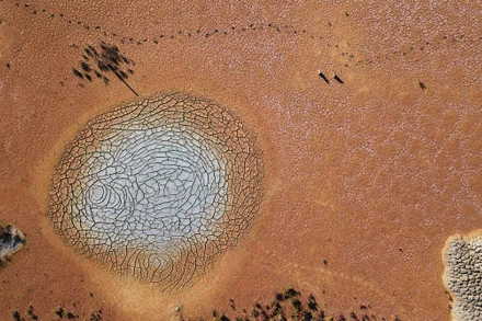 Liên hợp quốc cảnh báo: Hạn hán đang trên đà trở thành đại dịch tiếp theo. Ảnh: Unsplash.