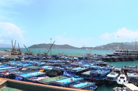 Ông Nguyễn Chiến Thắng nhiều lần ký văn bản đề nghị chuyển giao quyền quản lý Cảng Nha Trang không đúng quy định pháp luật. (Ảnh: NGỌC HÒA)