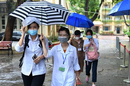 Ảnh minh hoạ: THUỶ NGUYÊN