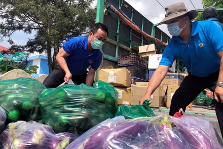 Tuổi trẻ Lâm Đồng phân loại, đóng gói nông sản để đưa lên những “chuyến xe yêu thương”.