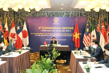 Đoàn đại biểu của Việt Nam do Bộ trưởng Công thương Nguyễn Hồng Diên dẫn đầu tham gia cuộc họp.