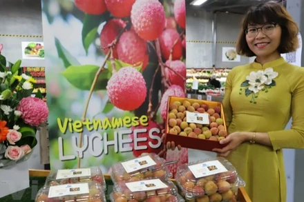 Hộp vải tươi Việt Nam được đấu giá thành công với giá trị lên tới gần 53 triệu VND. (Ảnh: Diệu Linh/TTXVN)