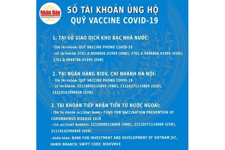 (Đồ hoạ: NDĐT)