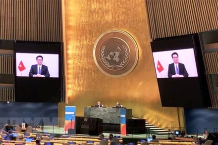 Phó Thủ tướng Chính phủ Vũ Đức Đam phát biểu tại cuộc họp. (Ảnh: TTXVN)