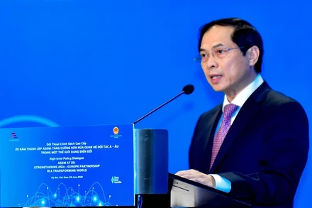 Bộ trưởng Ngoại giao Bùi Thanh Sơn. (Ảnh: Báo Thế giới và Việt Nam)