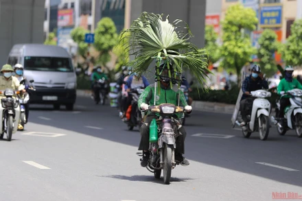Hà Nội những ngày nắng nóng trên 40 độ C