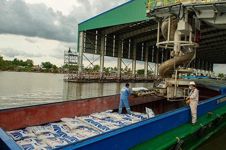 Sản phẩm phân bón Cà Mau đang xuống tàu xuất khẩu ra các thị trường nước ngoài.