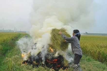Đốt rơm rạ nhiều nơi ở miền bác gây ô nhiễm không khí.