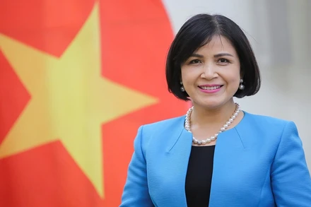 Đại sứ Lê Thị Tuyết Mai. (Ảnh: Bộ Ngoại giao)