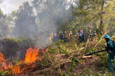 Các lực lượng và người dân nỗ lực dập tắt đám cháy.