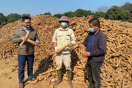 (Ảnh: NGUYỄN THANH SƠN)