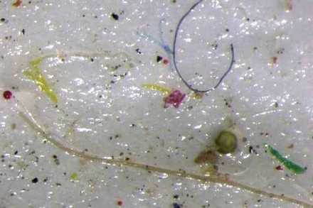 Vi nhựa trong tuyết ở Bắc Cực. Ảnh: Reuters.