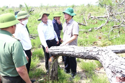 Bí thư Tỉnh ủy Đắk Lắk Nguyễn Đình Trung và Chủ tịch UBND tỉnh Phạm Ngọc Nghị trực tiếp kiểm tra rừng bị tàn phá tại tiểu khu 205, xã Ya Tờ Mốt, huyện Ea Súp.