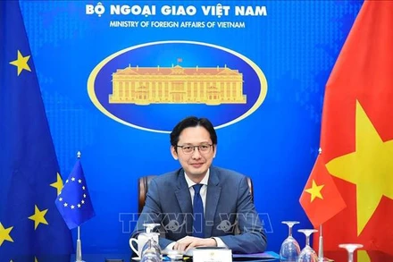 Trợ lý Bộ trưởng Ngoại giao Đỗ Hùng Việt đã đồng chủ trì Phiên họp lần thứ 2 Tiểu ban các vấn đề chính trị Việt Nam - EU. Ảnh: TTXVN