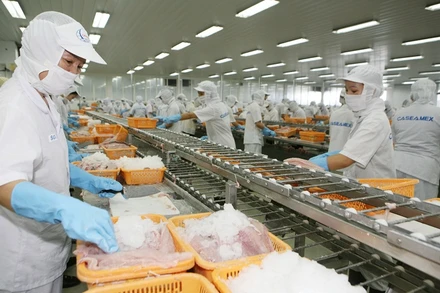 Thuỷ sản tràn đầy cơ hội chiếm lĩnh thị trường CPTPP.