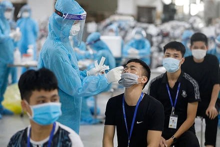 Lấy mẫu xét nghiệm Covid-19. (Ảnh: DUY LINH)