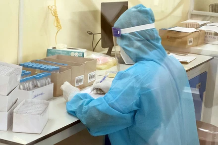 Nhân viên y tế Bệnh viện đa khoa khu vực Hồng Ngự, tỉnh Đồng Tháp xét nghiệm Covid-19.