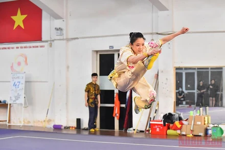 Wushu được chia thành hai nội dung là Wushu Sanshou (Võ thuật tán thủ), thiên về sức mạnh đòn đánh, tổ hợp đòn chiến và Wushu Taolu (Võ thuật biểu diễn), thiên về quyền pháp tay không hoặc có binh khí, chủ yếu tập trung về độ mềm dẻo của cơ thể.