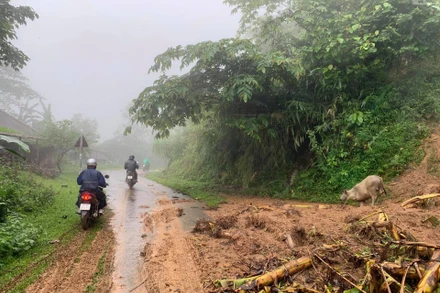 Từ đêm 15-18/4, khu vực Tây Bắc, Việt Bắc có mưa vừa, mưa to, có nơi mưa rất to, đề phòng xảy ra lốc sét, mưa đá và gió giật mạnh. (Ảnh minh họa)