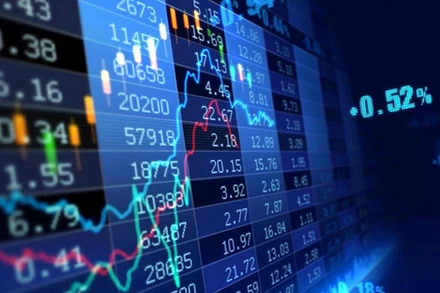 Ảnh minh họa. (Nguồn: baochinhphu.vn)