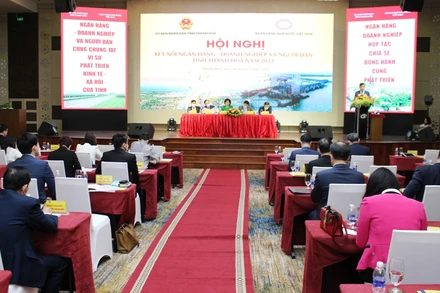 Toàn cảnh hội nghị.