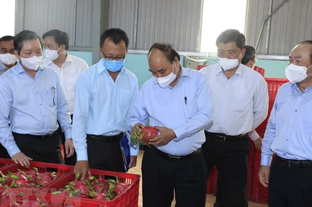 Sáng 6/4, Chủ tịch nước Nguyễn Xuân Phúc đến thăm, động viên một số mô hình hợp tác xã tiêu biểu của tỉnh Tiền Giang. (Ảnh: TTXVN)