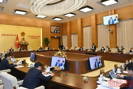 Phiên họp thứ 10 của Ủy ban Thường vụ Quốc hội cho ý kiến về dự án Luật Thanh tra (sửa đổi). (Ảnh: Duy Linh)