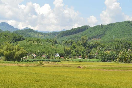 Việc thực hiện chính sách bảo hiểm y tế giúp người dân tộc thiểu số ở miền núi Quảng Ngãi được tiếp cận chính sách an sinh xã hội. 