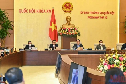 Ủy ban Thường vụ Quốc hội thảo luận cho ý kiến về dự án Luật Phòng, chống bạo lực gia đình (sửa đổi). 