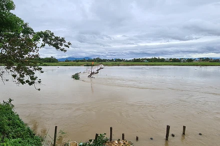 Nước cuốn trôi đập tạm ngăn mặn trên sông Vĩnh Điện.