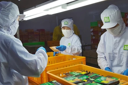 Quý 1, nền kinh tế-xã hội Thành phố Hồ Chí Minh có nhiều khởi sắc, tích cực. 