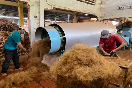 Hợp tác xã nông nghiệp Định Thủy giải quyết việc làm cho nhiều lao động ở nông thôn.