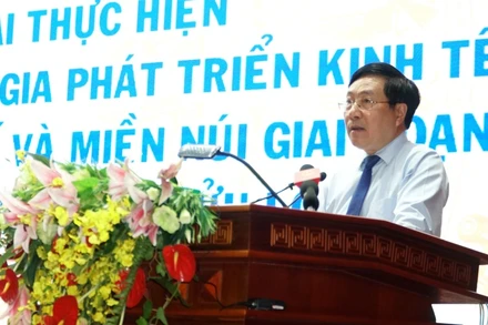 Phó Thủ tướng Thường trực Chính phủ Phạm Bình Minh phát biểu chỉ đạo Hội thảo.