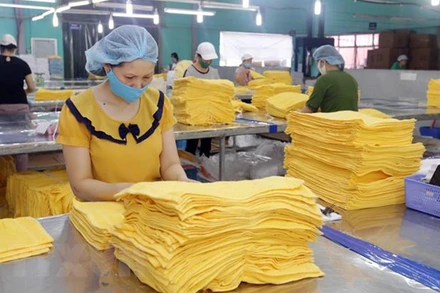 Sản xuất hàng xuất khẩu tại Công ty cổ phần dệt may Sơn Nam, Nam Định. (Ảnh: TTXVN)