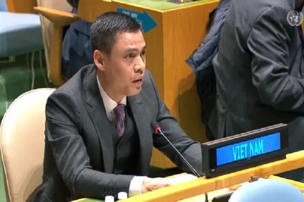 Đại sứ Đặng Hoàng Giang phát biểu tại phiên họp. Ảnh: Bộ Ngoại giao