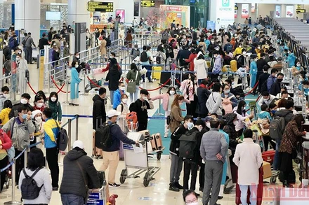 Sản lượng hành khách qua Cảng hàng không quốc tế Nội Bài tăng cao.