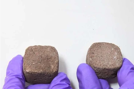 Những "viên gạch không gian" này có thể được sử dụng để xây dựng nhà trên sao Hỏa. Ảnh: Nitin Gupta