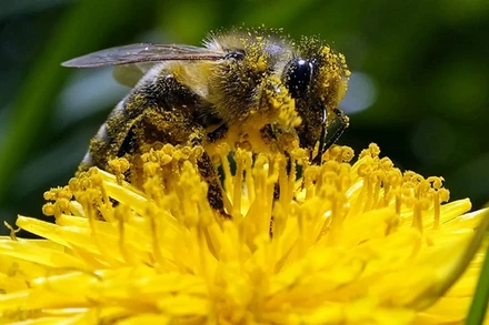 Những bức ảnh ấn tượng về động vật hoang dã trong tuần