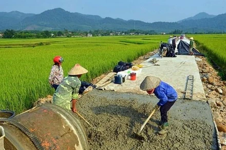 Xây dựng hệ sinh thái kinh tế nông thôn